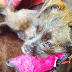 Meet your Posher, Paula